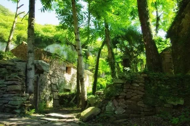 台州三门赶海民宿,三门民宿推荐浙江