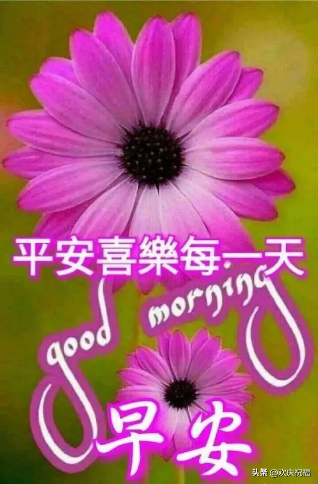 清晨问候大家早上好的暖心祝福语,老同学春天暖心祝福语早上好图片