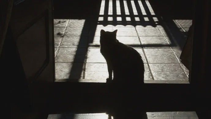 澳洲最大华人快递事件,澳洲华人快递事件