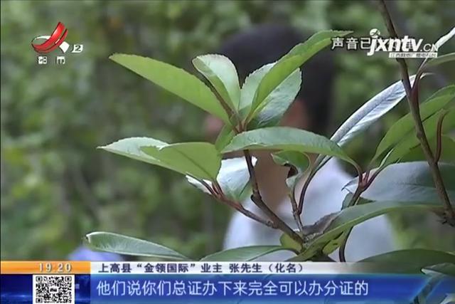 金领国际小区产权,上高金领国际四期迟迟未交房