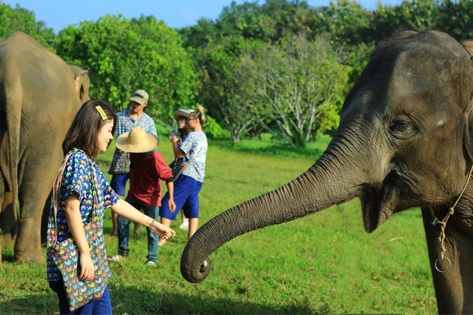 泰国五日四夜自由行攻略,泰国十大自由行攻略