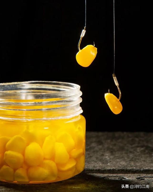 冬季钓大鱼用玉米可以吗,冬季钓大鱼用玉米好吗