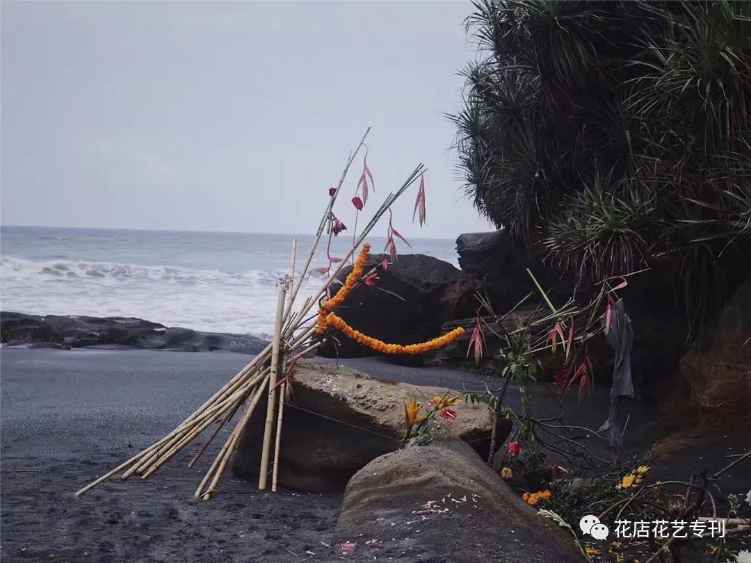 深圳TaleFlora：在花园里授课，做有灵魂的设计