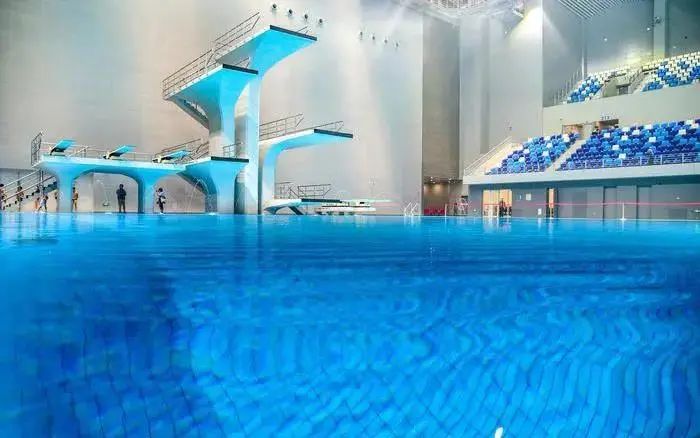 全运冠军回家,全运冠军凯旋回家