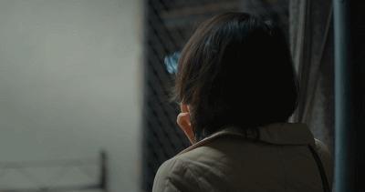 横扫电影节奖项,横扫国际影展