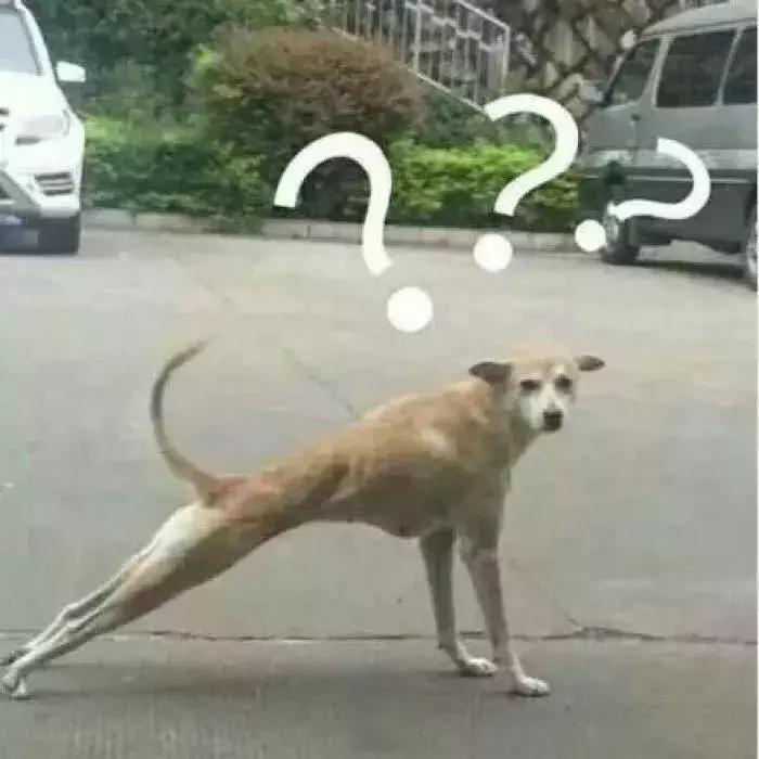 晒太阳能杀死螨虫吗,阳光下暴晒除螨虫效果好吗