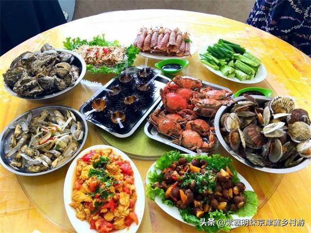 辽宁大连长海县盛茂休闲渔家，伸手就能摸到海？莫非建在海面上？