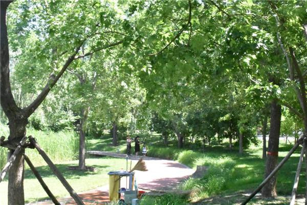 任丘各乡镇来历,任丘各村落简介