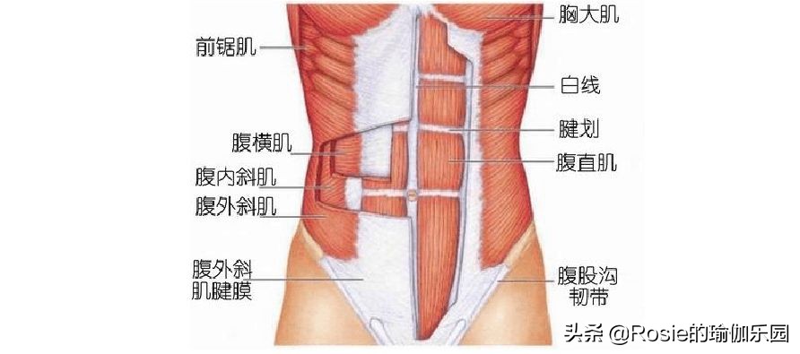 产后三个月，除了手足无措、焦虑、压力大，你还可以做这些