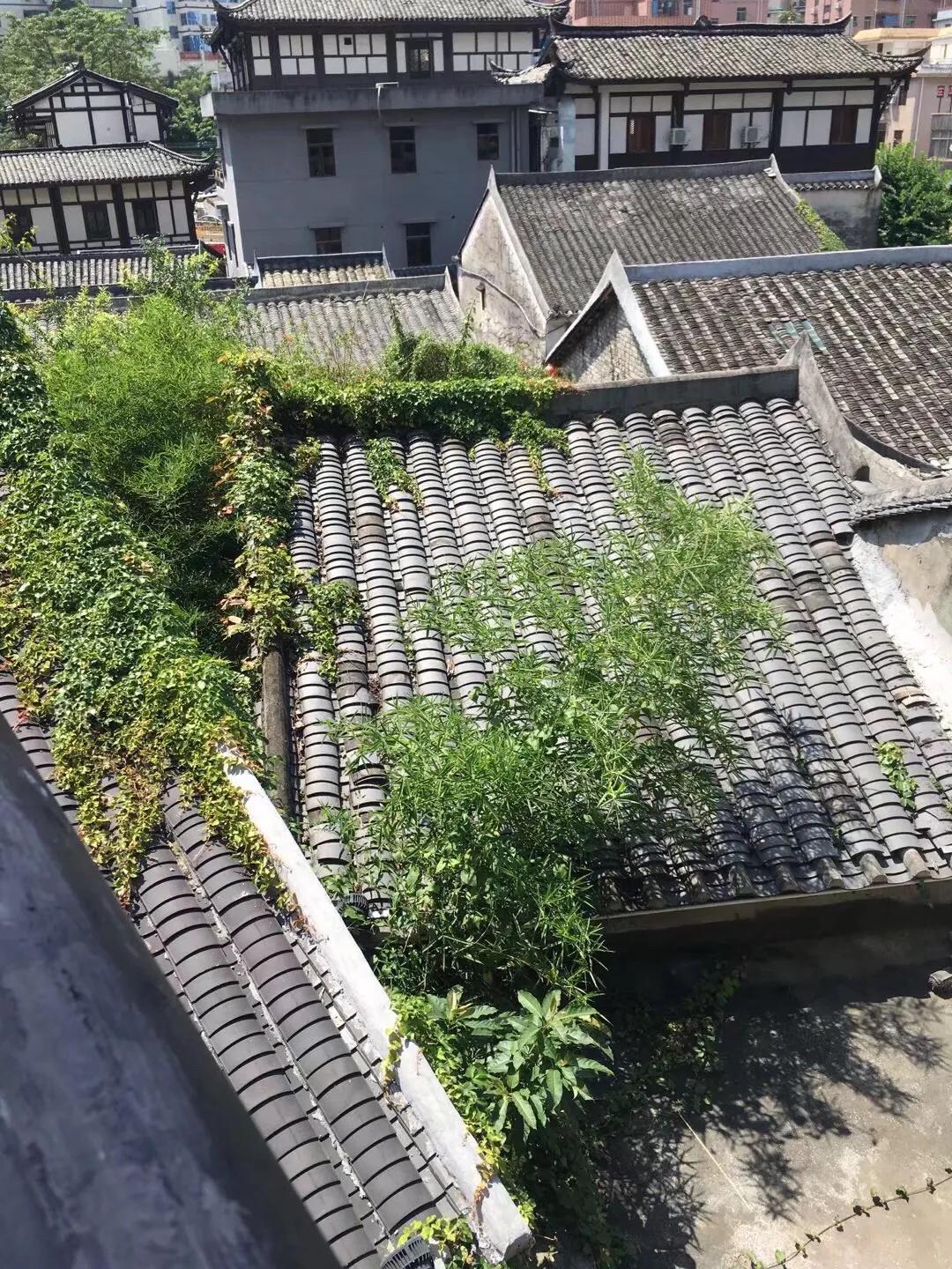 甘坑客家小镇停车场能停车吗,甘坑客家小镇在龙岗什么地方