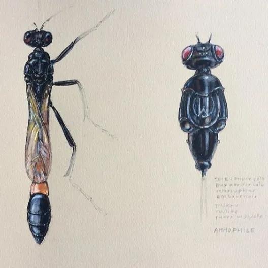 惊了！他靠卖垃圾赚了195万，还在法国买了一套房！