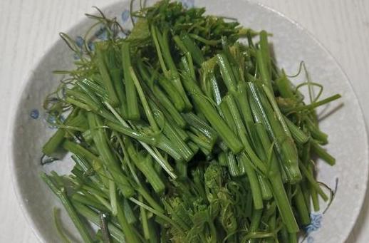 夏天必吃的10道菜最后一道绝了,推荐一款夏天比较适合吃的菜