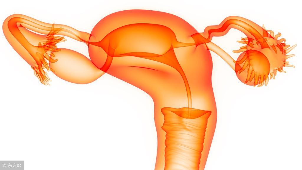 活检查宫颈癌注意事项,做宫颈癌活检后注意事项