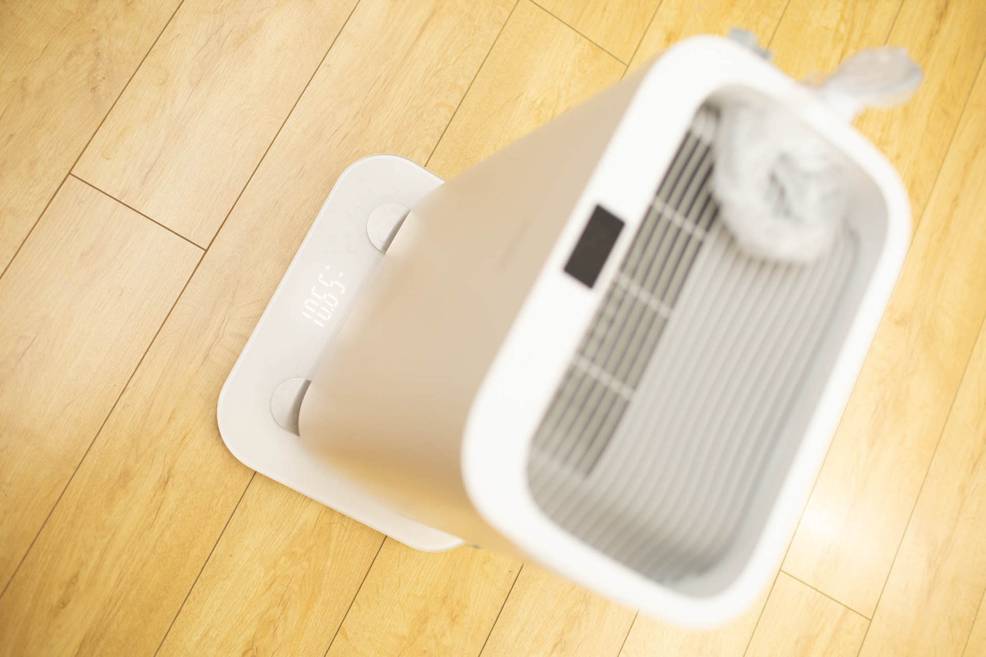 抵御南方湿冷的魔法攻击,小而强悍的伊岛*湿机除**