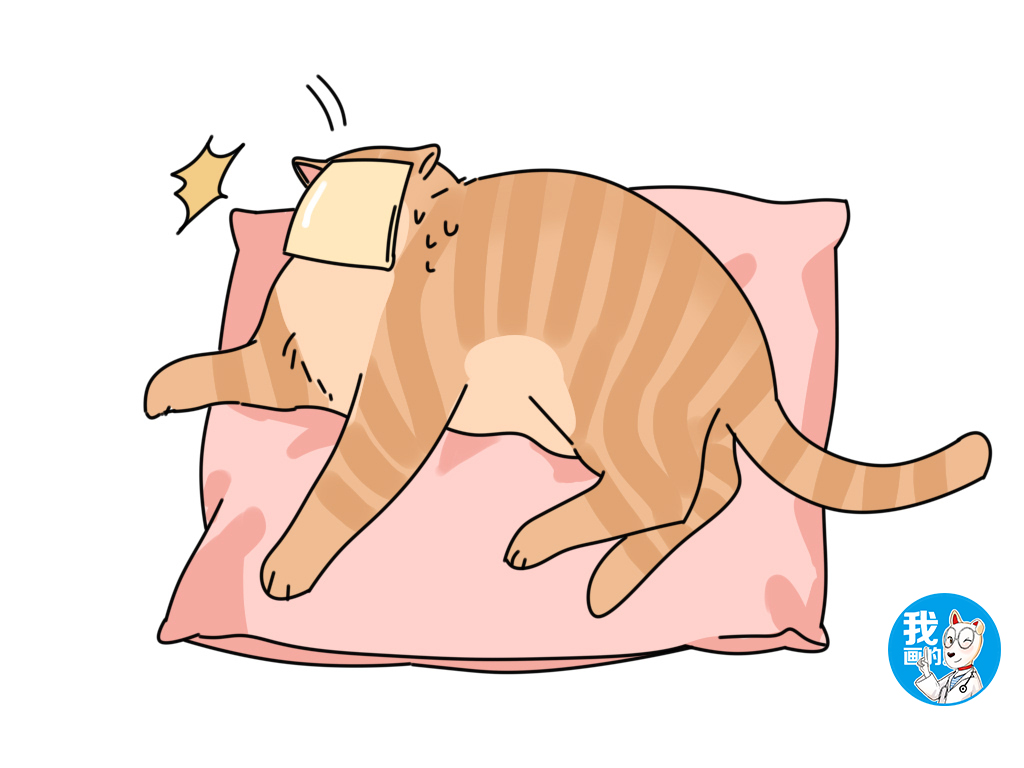 捏后颈、贴芝士、画圈圈,这些猫咪封印术居然都是有科学依据的?