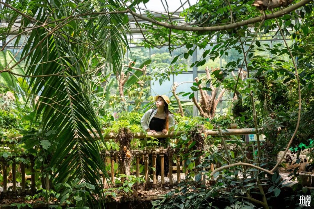 300+万㎡原始森林秘境，天河就有