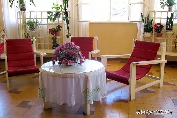 越南旅游攻略和自由行攻略,越南旅游攻略免费景点