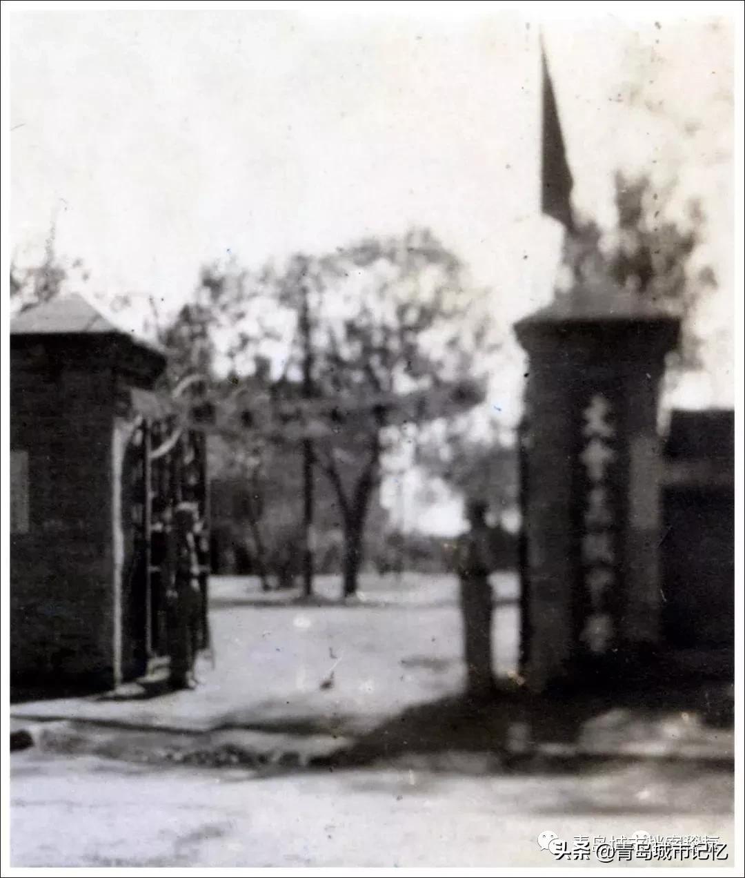 青岛科技大学学校背景,青岛科技大学由来