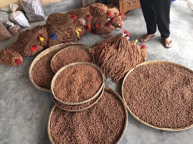 老玩家玩出来的小金刚菩提,老玩家都未必懂的新手攻略