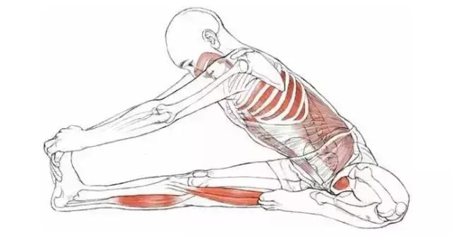 女人练什么能保护自己,女人应该练好的动作