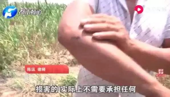 农民西瓜被偷反倒赔300元,瓜农西瓜被偷怎么赔偿