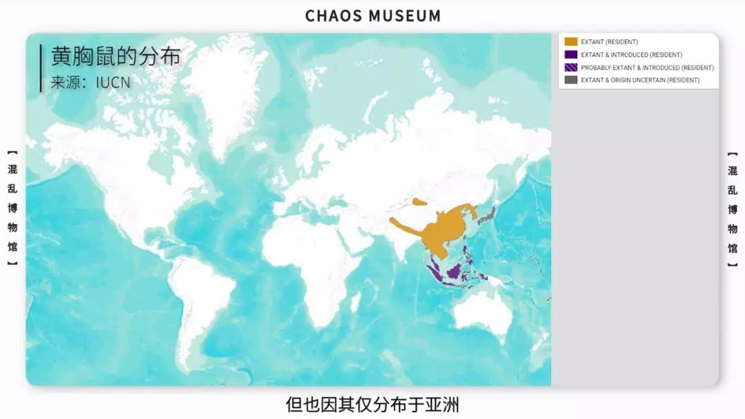 米老鼠是耗子吗,米老鼠原型是什么鼠