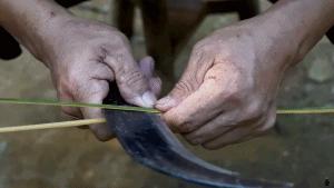 近日李子柒视频走红,李子柒爷爷最火视频