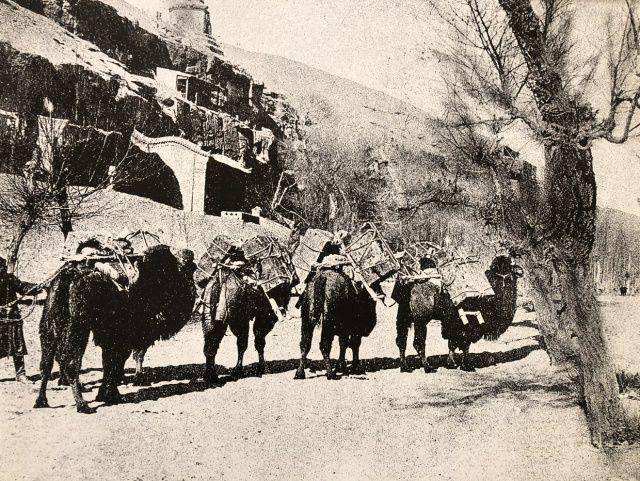 卧看牵牛织女星的主要内容,坐看牵牛织女星配图