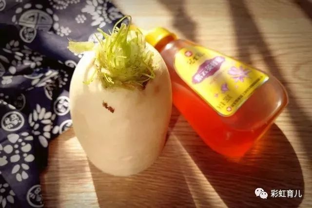 化痰止咳萝卜蜜，请为它打call