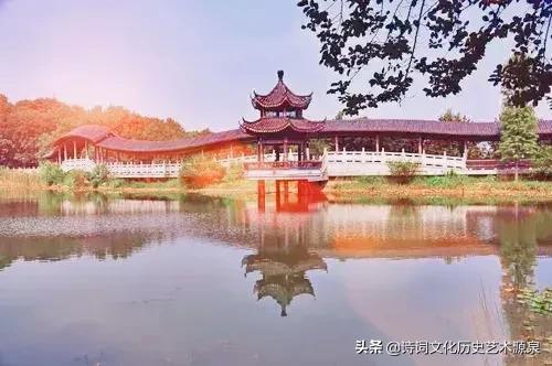 2016～2020年总成绩单，交遍知音天下友，富足文化百家言