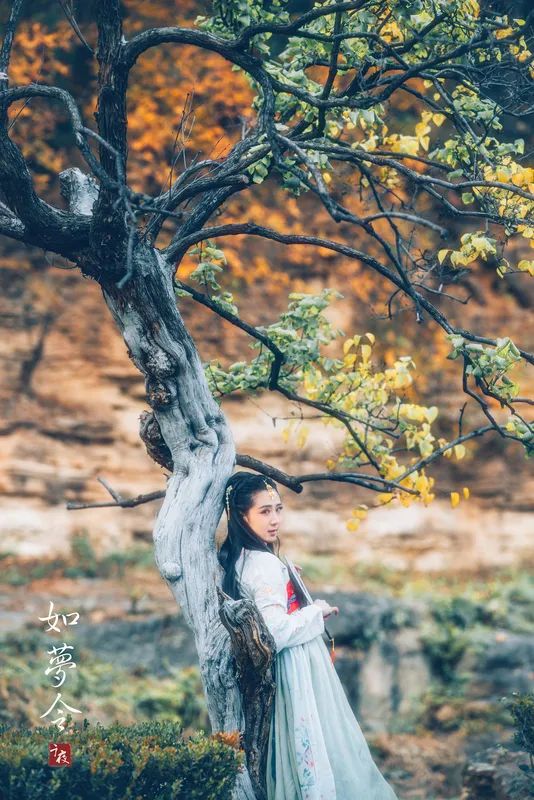 如梦令歌曲相思,如梦令相思千里