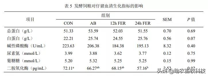 发酵饲料能提高多少吸收率,发酵饲料对猪有没有好处