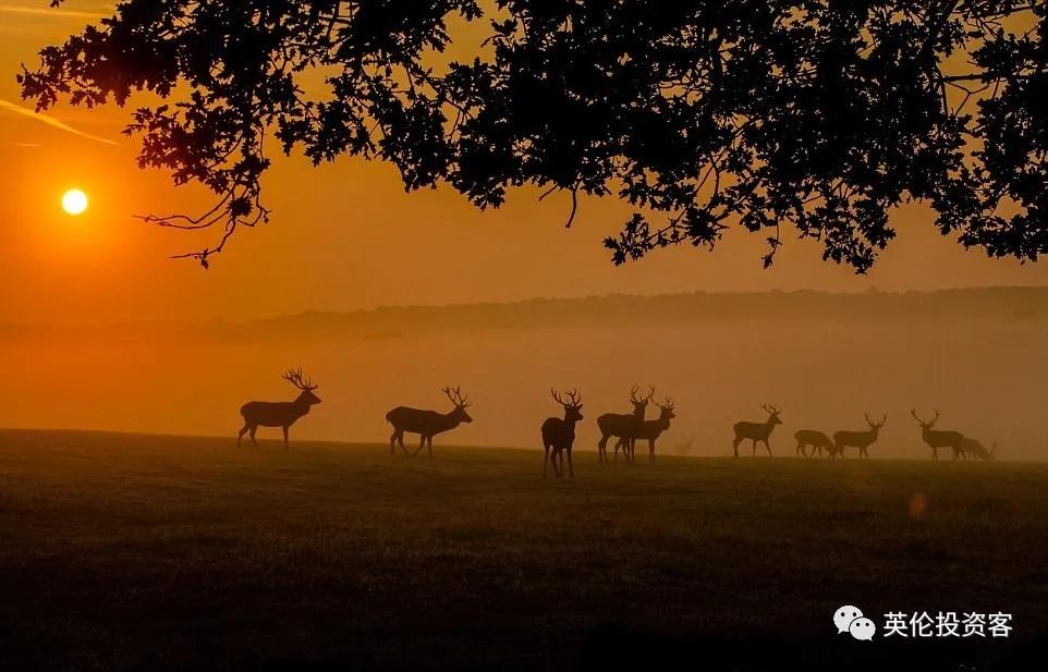 英国伦敦肯辛顿公园,伦敦富人区小众公园