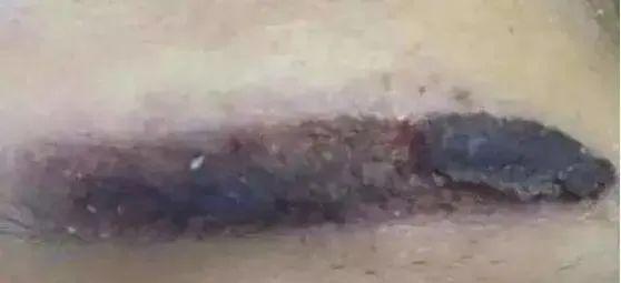 为何不建议女生纹眉内行人说实情,为什么纹眉师不建议做野生眉