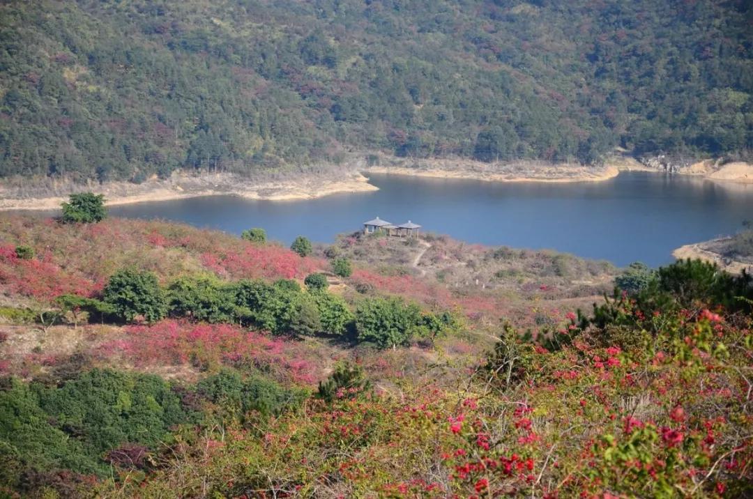 地铁3号线景观,地铁三号线的沿途风景