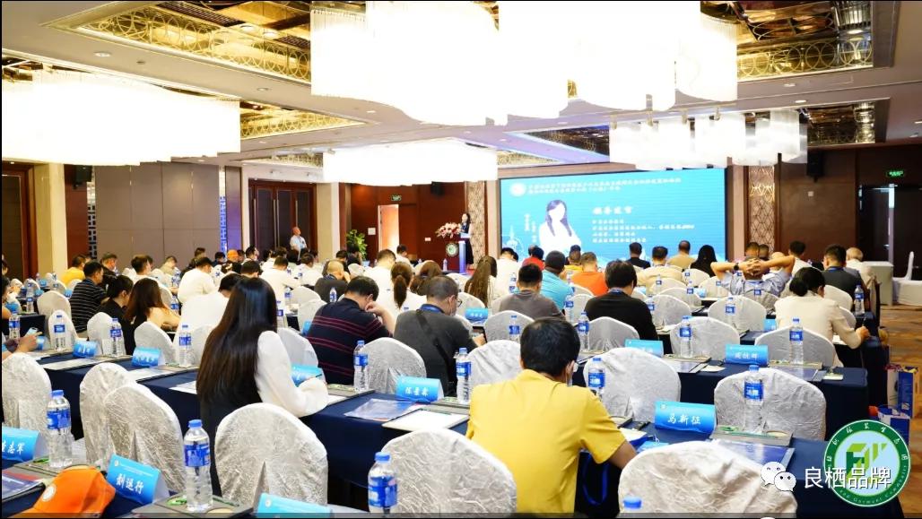 纺织服装生态圈年会邹译萱指出服装行业知识产权案件线上侵权为主