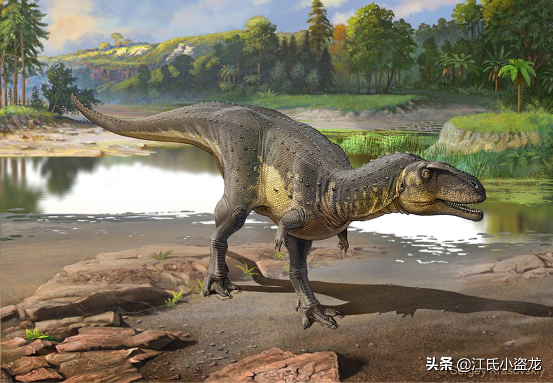 古生物时代有多少种恐龙,人类已经发现了多少恐龙种类