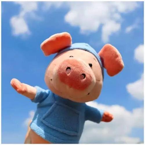 和猪有关的成语有哪些,猪年摸猪头的成语