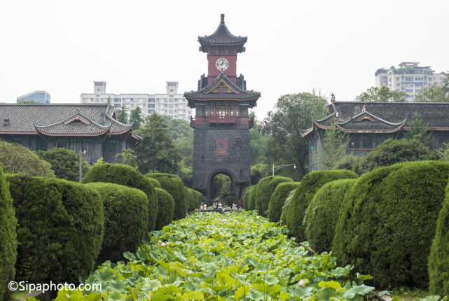 西部重点大学四川大学，不仅学术氛围好，校园环境也美