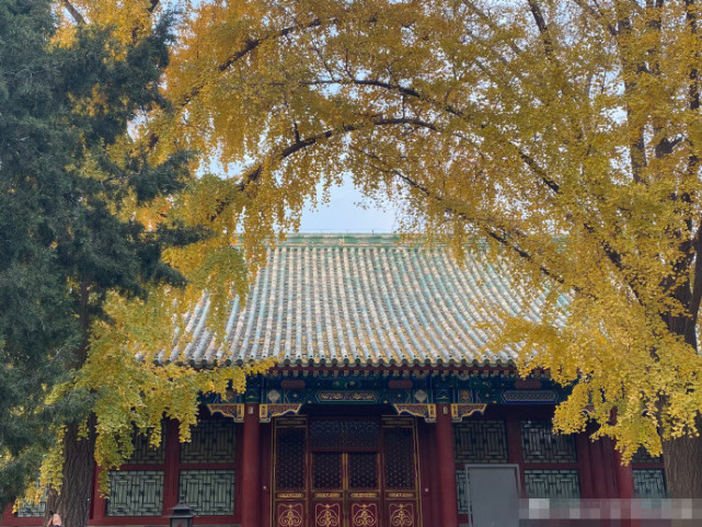 懒理关系户吐槽,孙俪妹妹晒与姐姐同款秀姐妹情,打卡故宫气质赞