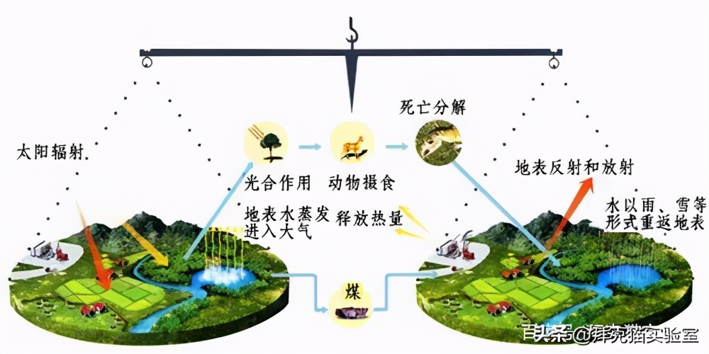 自制浇花神器自动浇水,制作浇花器一年都不用浇水