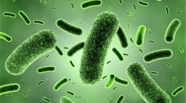 新型冠状病毒手机怎么消毒,新型冠状病毒怎么消毒才彻底