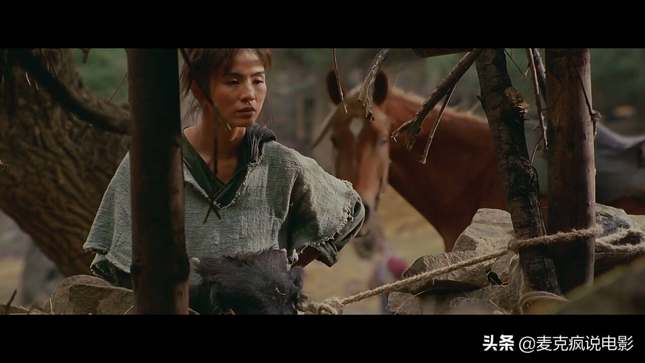 徐克很有野心的一部电影,野心徐克电影全集