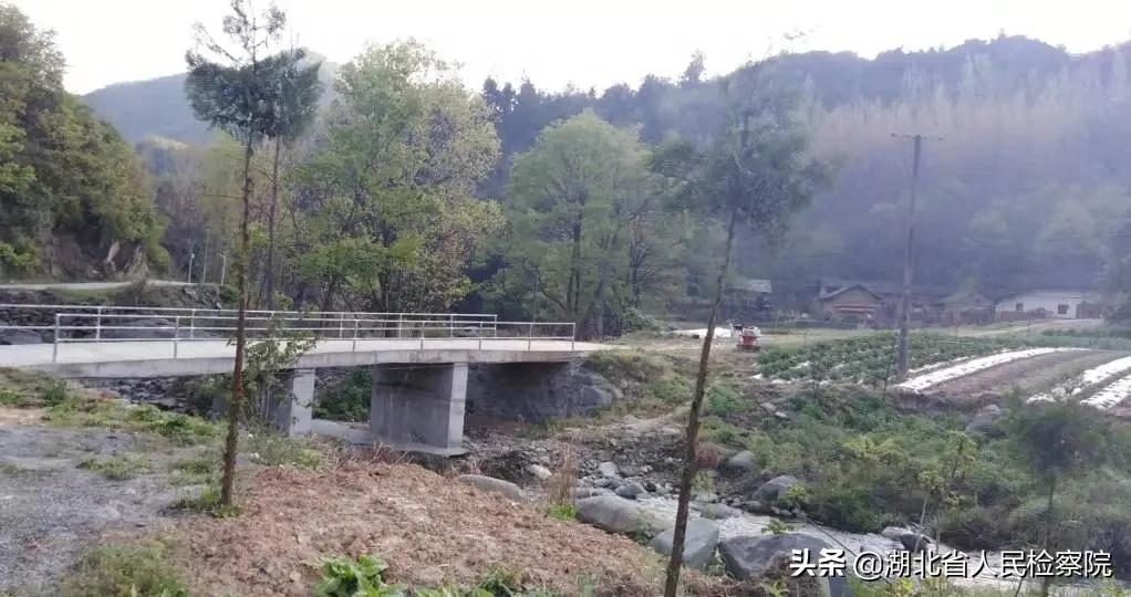 陈湾村疫情,疫情前的陈溪村