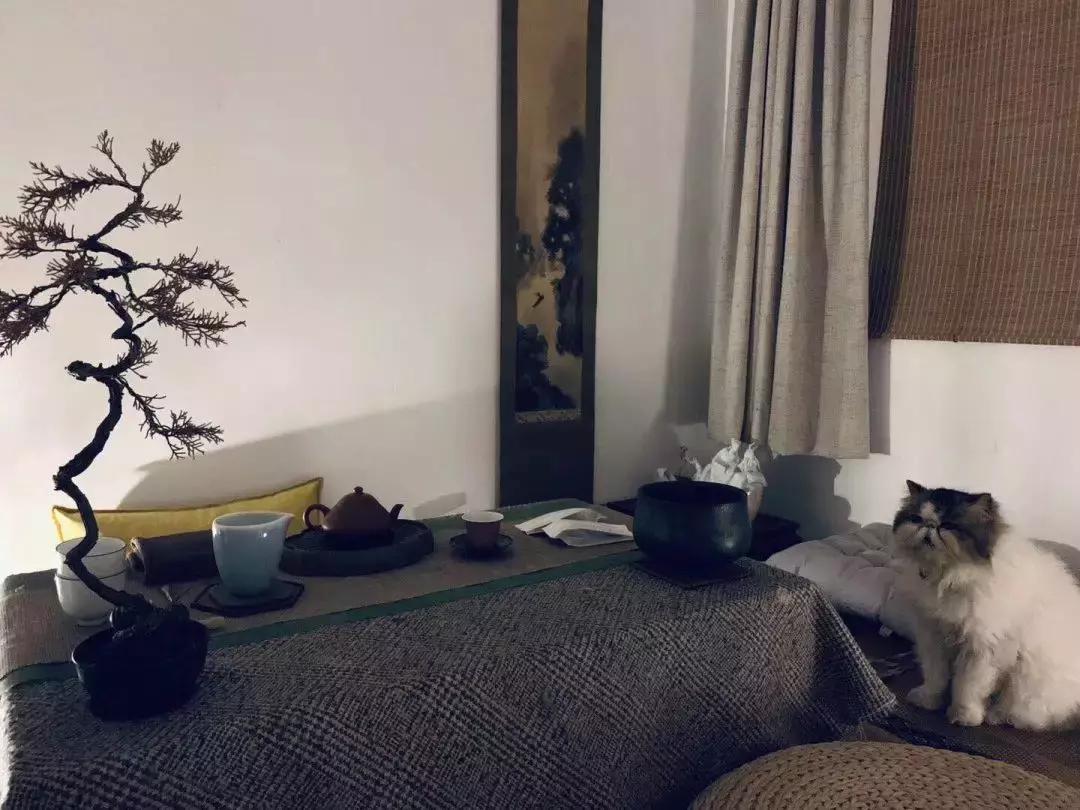 家具不要买太多极简生活,家具都是捡来的