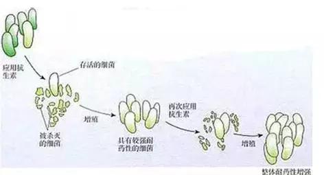 如果没有中医了世界会怎么样,如果没有抗生素世界会怎样