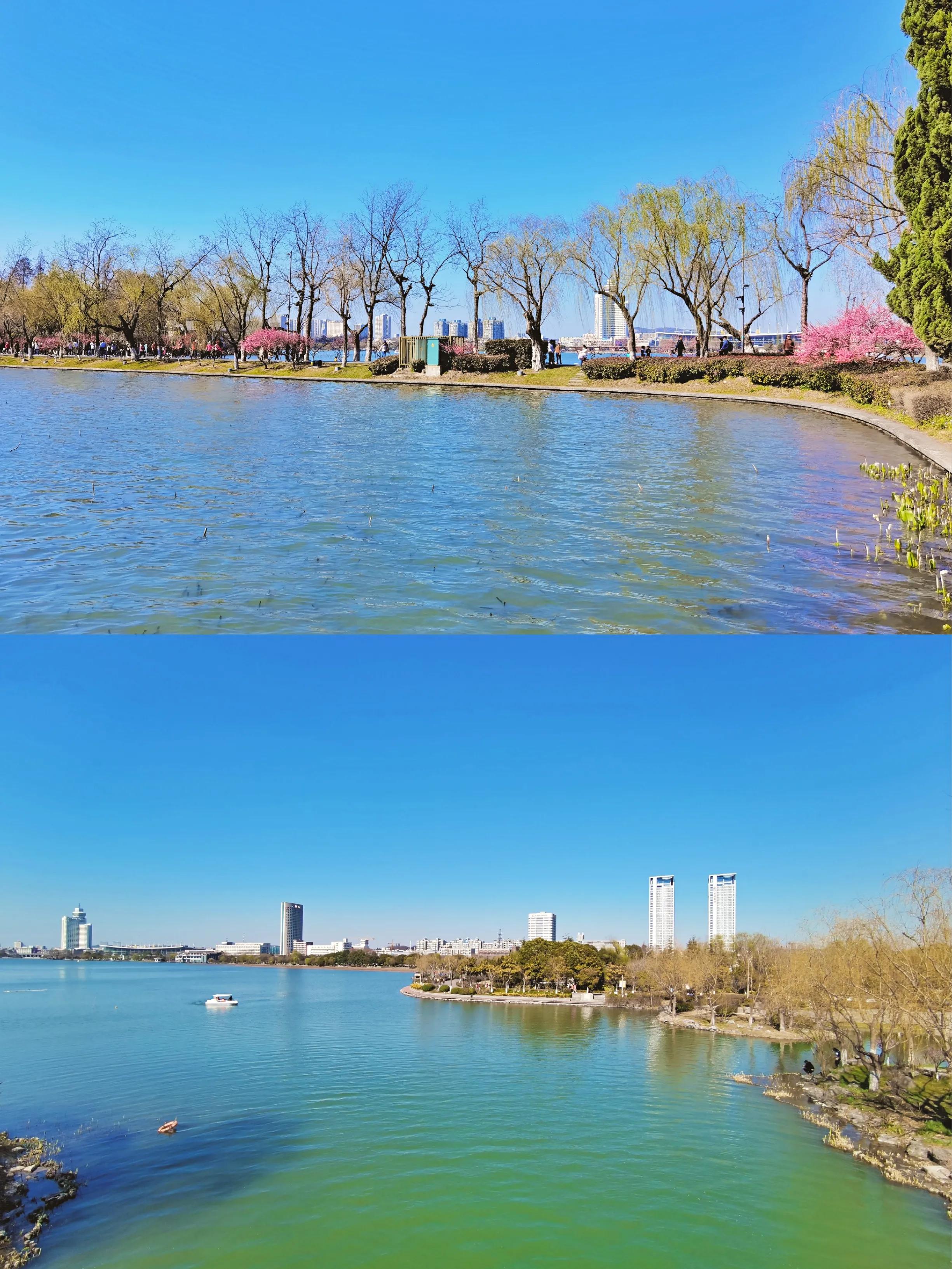 没有人可以拒绝冬天的大理,玄武湖的春天太美了