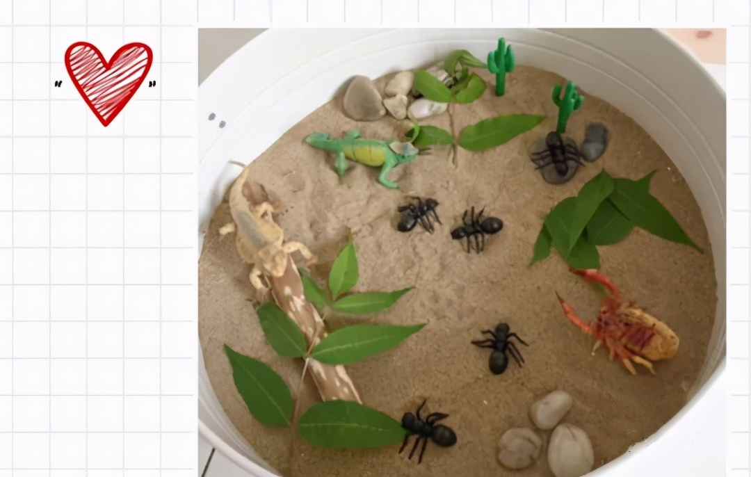 raz启蒙2岁,raz启蒙有用吗