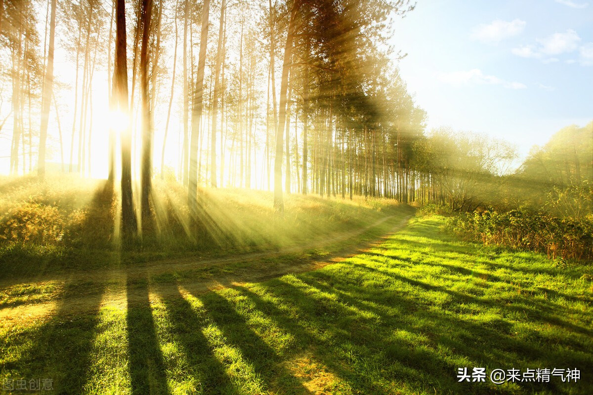 胖人肌肉含量高应该怎么减肥,胖人减肥怎么增蛋白质摄入量