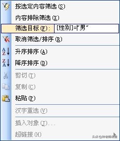 access数据表格式设置方法,access数据表分组